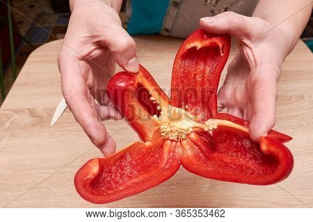 Woman Housewife Farmer Holds Cut Red Bell Pepper With Hands. Seeds Of Bell Pepper. Removal Of The Co