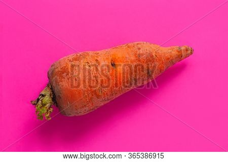 Ugly Food. Deformed Organic Carrots On The Pastel Pink Background. Bright Colors. Misshapen Produce,