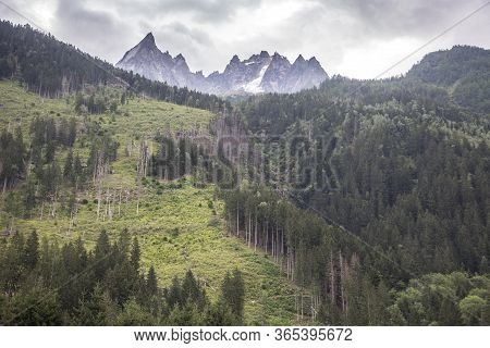 Green Forest, Hight Mountain Peaks In Chamonix, France. Scenic Image Of Hiking Concept. Perfect Mome
