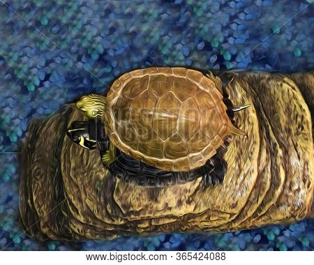 An Artistic Twist, Oil Painting Effect, Stacked Turtles