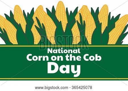 National Corn On The Cob Day. June 11. Holiday Concept. Template For Background, Banner, Card, Poste