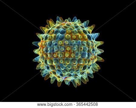 Virus Model