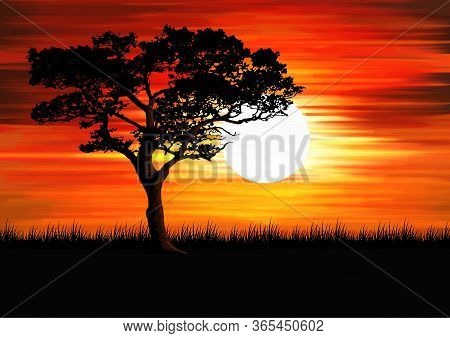 Beautiful Scenic Colorful Sunset Landscape With Sun, Sky, Tree And Grass Perfect To Use As Backgroun