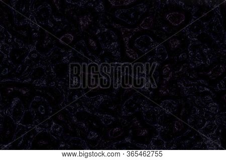 Design Modern Organic Consternation Relief Computer Art Background Or Texture Halloween Illustration