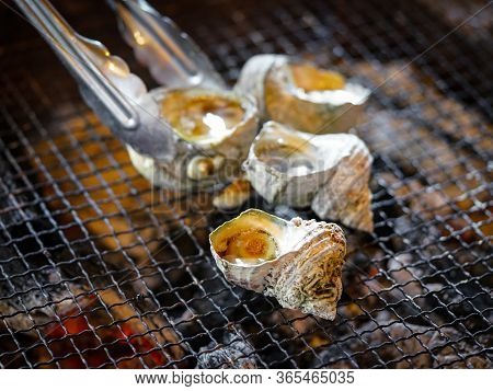 Turban Shell Grilling On A Hot Chacoal Stove. Fresh Seafood Course In Ama Divers' Hut, Japanese Seaf