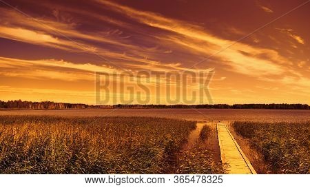 Lake At Sunset Overgrown With Reeds. Beautiful Natural Landscape At Night, Bright Cloudy Sky Over Re