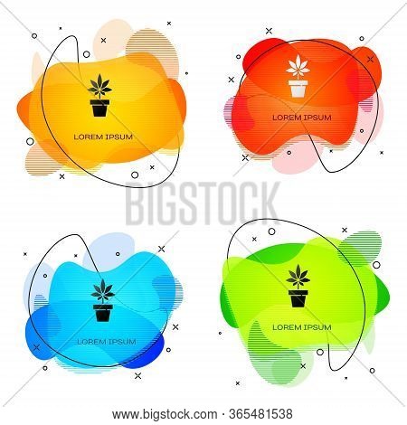 Black Medical Marijuana Or Cannabis Plant In Pot Icon Isolated On White Background. Marijuana Growin