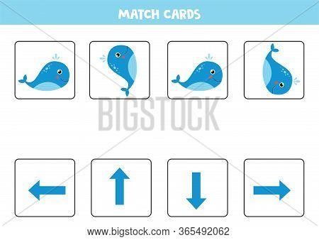 Match Cards. Spatial Orientation For Kids. Find The Right Orientation Of Blue Whale. Logical Game Fo