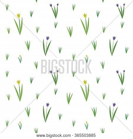 Vector Seamless Texture With Spring Fiels And Wild Flowers