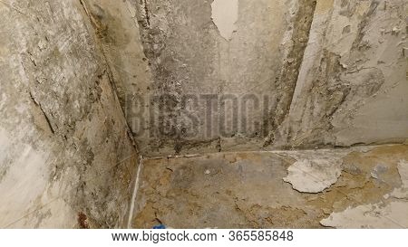 Old Plaster Covered With Moss And Mold Falling Off The Red Brick Wall. Building Exterior Faded Color