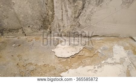 Old Plaster Covered With Moss And Mold Falling Off The Red Brick Wall. Building Exterior Faded Color