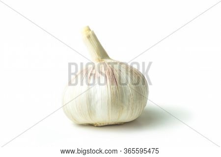 Isolated Garlic (allium Sativum) Has Many Medicinal Properties And Can Be Used For Ingredient Food. 