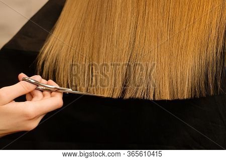 Young Customer With Long Demaged Hair In Hairdressing Salon. Hair Care Problems. Hairstylist Doing H