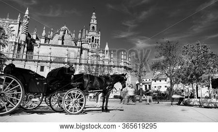 Seville, Spain - 10 February 2020 : Black And White Photography Of Horses And Carriages Waiting For 