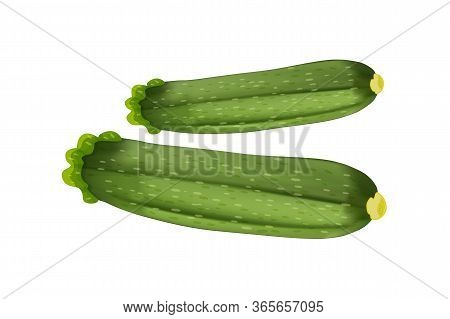 Zucchini Isolated On White Background. Green Courgette Vegetable. Vegetarian Food, Striped Squash Or