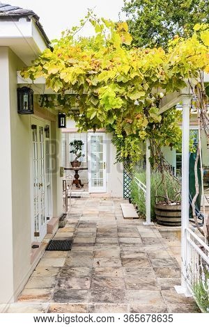Patio Terrace Of Upmarket Wealthy Suburban Mansion House With Landscaped Garden
