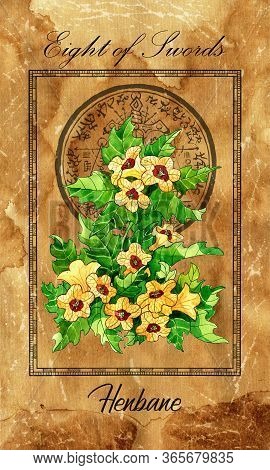 Eight Of Swords. Minor Arcana Tarot Card With Henbane And Magic Seal. Vintage Deck Enchanted Flowers