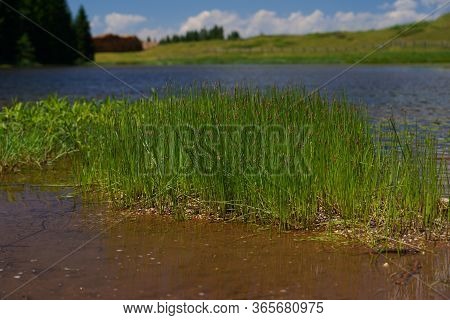 Lake At The Lavaze Pass. Lavaze Pass In South Tyrol, Bolzano Province: Is One Of The Most Fascinatin