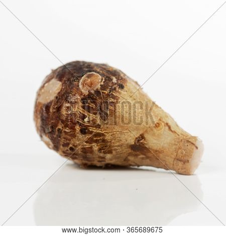 Satoimo, Sweet Taros On The White Background
