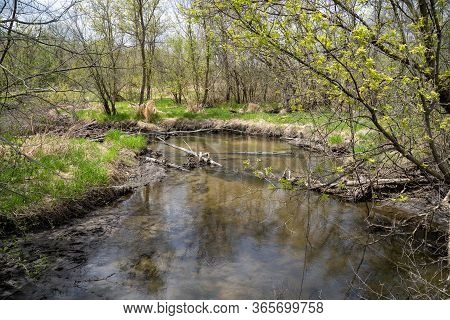 Small Creek Running Through Elm Creek Park Reserve In Maple Grove Minnesota During Springtime