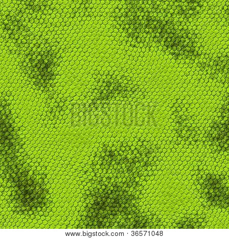 Schlange-Textur