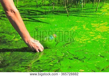 Global Pollution Of The Environment And Water. A Man Collects Green Water In A Bottle For Analysis. 