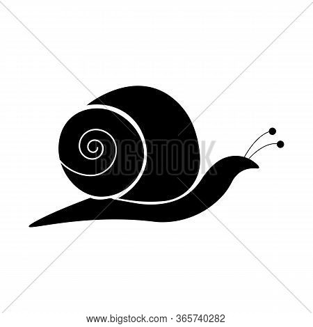 Snail Icon - Animal Silhouette Black Icon
