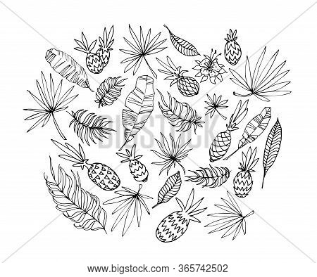 Set Of Pineapple Fruits With Palm Leaves, Simple Doodles, For Floral Pattern, Vector Illustration Wi