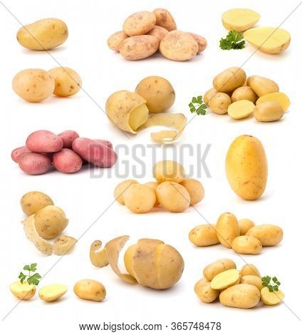 potato isolated on white background. Set of different composition of potatoes.