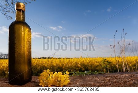 Bottle Of Oilseed Rape On Wooden Surface With Yellow Oilseed Rape Flowers In Background. Oilseed Rap