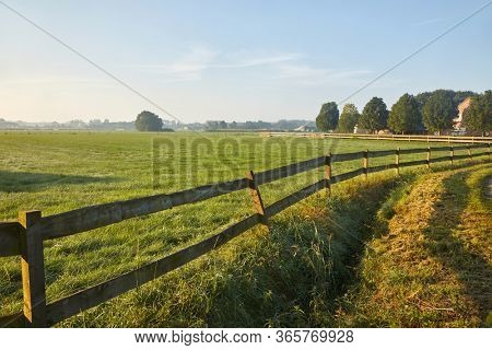 Countryside landscape with green field pastures in summer