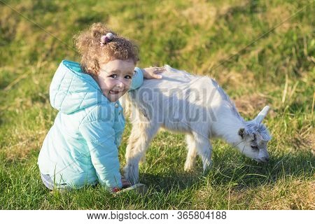 Little Cute Pretty Girl, Kid, Child Hugging, Playing With Baby Goat Or Lamb On Rancho, Farm, Yard In