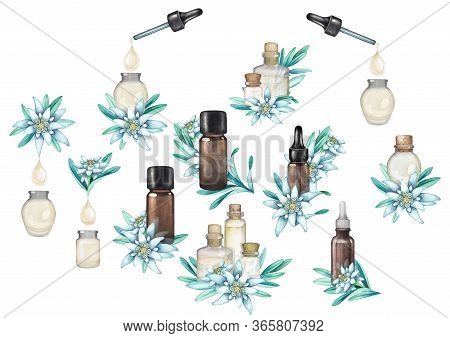 Collections Of Watercolor Essential Oil Bottles Decorated With Edelweiss Flowers And Leaves