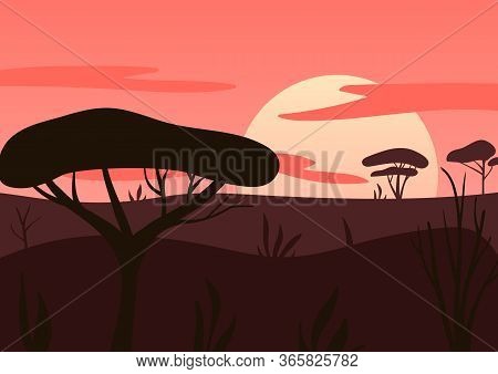 African Sunrise. Coral, Brown Trees, Clouds, Rising Sun, Summer High Contrast Landscape. Vector Illu