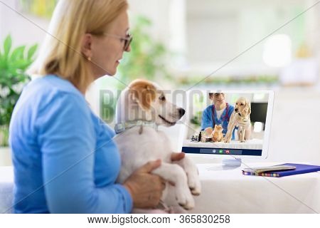 Online Consultation With Veterinarian. Vet Examining Animal Via Video Chat. Dog Check Up During Quar