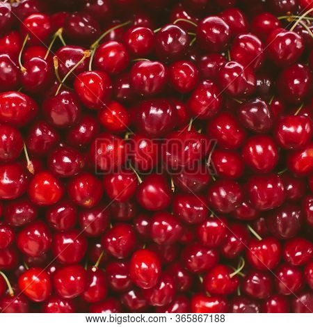 Sweet Cherry Fruit Inclose-up On Natural Farmer Market, Fruit Background