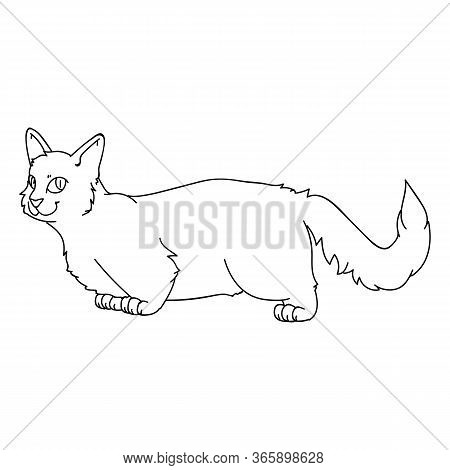 Cute Cartoon Munchkin Cat Lineart Vector Clipart. Pedigree Kitty Breed For Cat Lovers. Purebred Grey