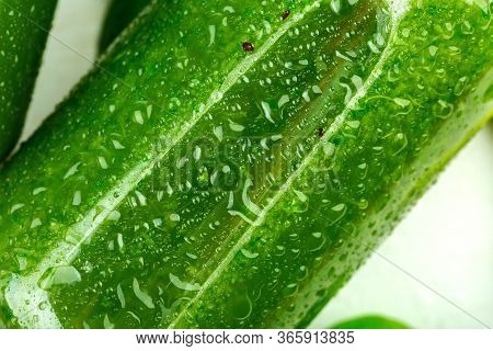 Super-large Plan Of Transparent Glass Bottle Fullfilled With A Green, Newly Squeezed Smoothie For De