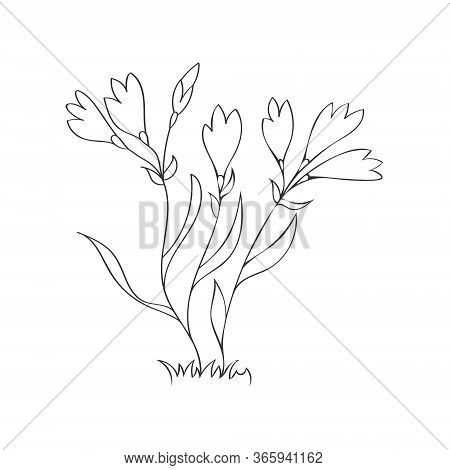 Vector Illustration Of A Flower. Stock Illustration Isolated On A White Background Linear Design For