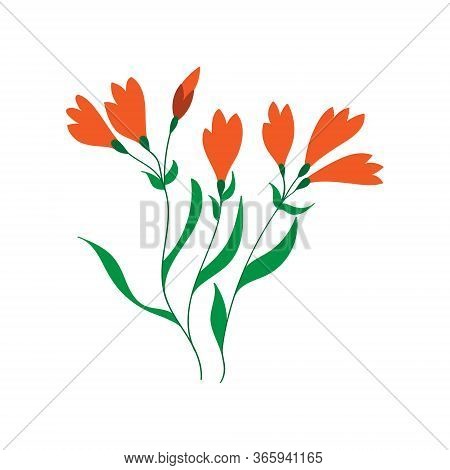 Vector Color Illustration Of A Flower. Stock Illustration Isolated On A White Background Filled In S