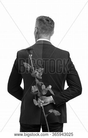 Surprise. Happy Valentines Day. Male Formal Fashion. Handsome Man Hide Rose Behind Back. Prepare Sur