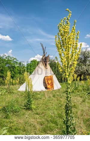 Single, solitary teepee in a forest. Tepees were traditional housing for Native Americans in Great Plains and other Western states.