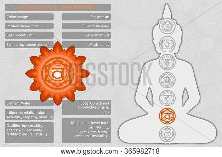 Chakras Symbols With Description Of Meanings Infographic