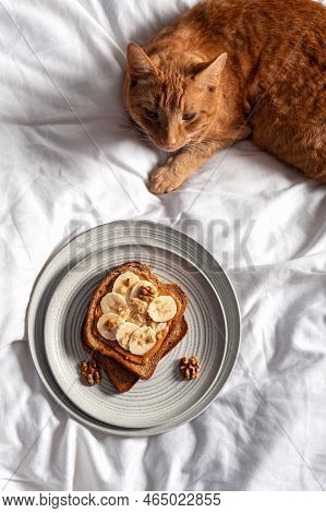 Open Sandwich From Slice Of Wholegrain Bread With Peanut Nut Butter, Bananas And Crushed Walnuts. Br