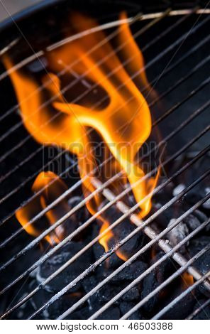 Gril Flame