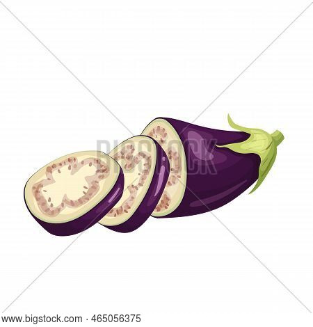 Eggplant Slice Cartoon. Purple Fresh, Plant Food, Organic Healthy, Agriculture Fruit, Brinjal Garden