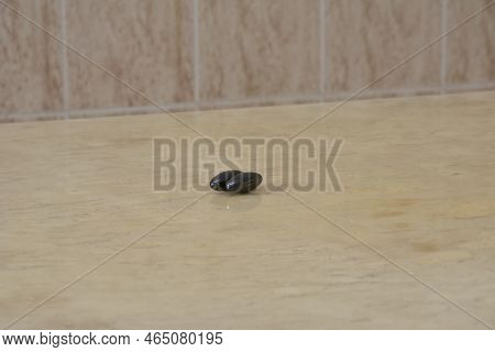Magnet On Travertine Marble Table With Blurred Background. Selective Focus, Zoom