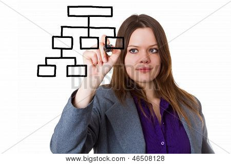 Ung kvinde tegning et Organigram