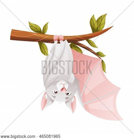 Funny Grey Bat With Cute Snout Hanging Upside Down On Tree Branch Vector Illustration