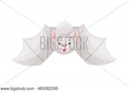 Funny Grey Bat With Cute Snout And Pointed Ears Flying With Spread Wing Vector Illustration